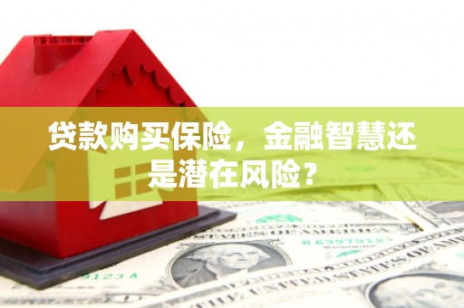 鱼台贷款购买保险，金融智慧还是潜在风险？