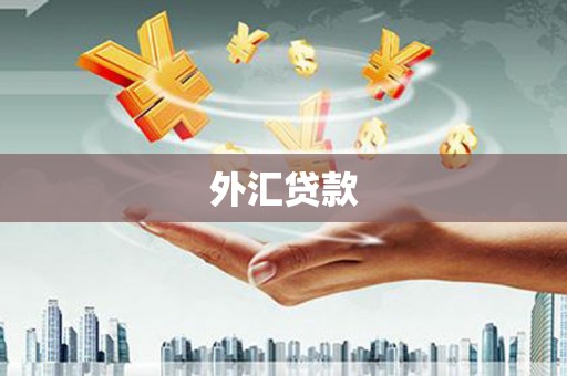 九原外汇贷款