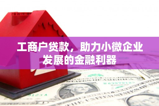湖口工商户贷款，助力小微企业发展的金融利器