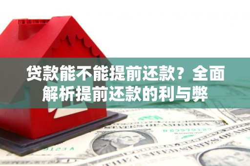 内湖贷款能不能提前还款？全面解析提前还款的利与弊