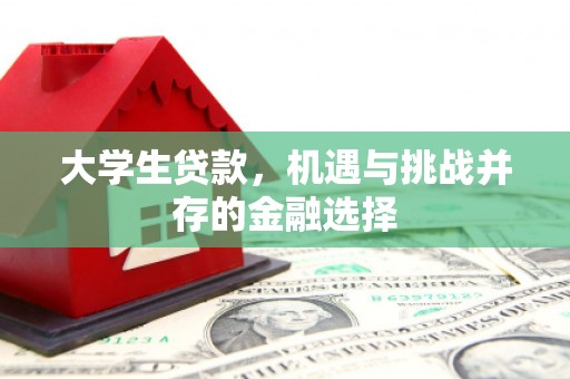 永新大学生贷款，机遇与挑战并存的金融选择