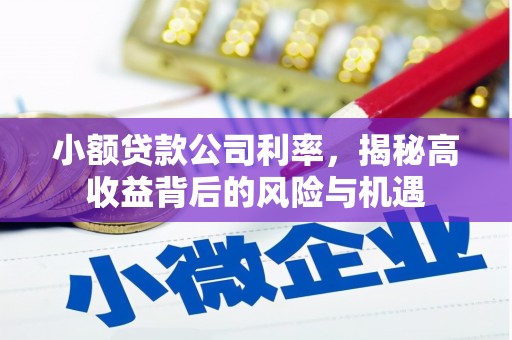 墨竹工卡小额贷款公司利率，揭秘高收益背后的风险与机遇