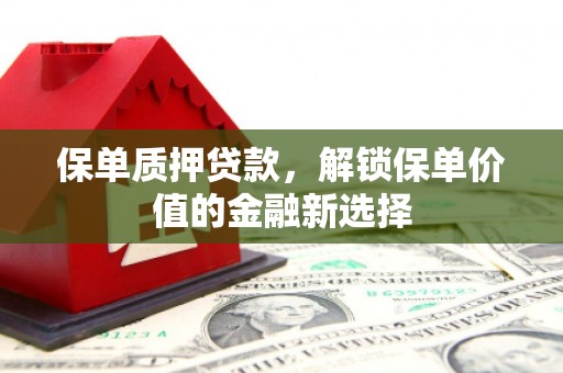新店保单质押贷款，解锁保单价值的金融新选择