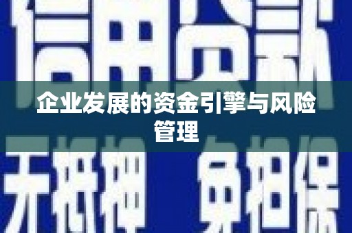 临渭企业发展的资金引擎与风险管理