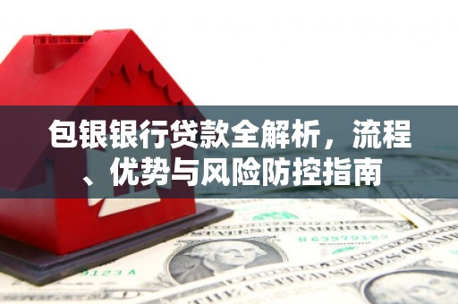 乐东包银银行贷款全解析，流程、优势与风险防控指南