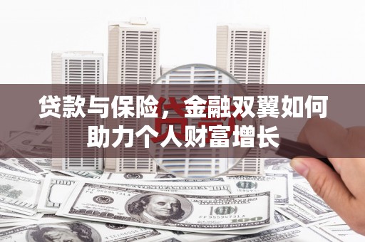 路环岛贷款与保险，金融双翼如何助力个人财富增长