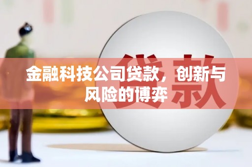 南陵金融科技公司贷款，创新与风险的博弈