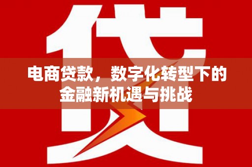 革吉电商贷款，数字化转型下的金融新机遇与挑战