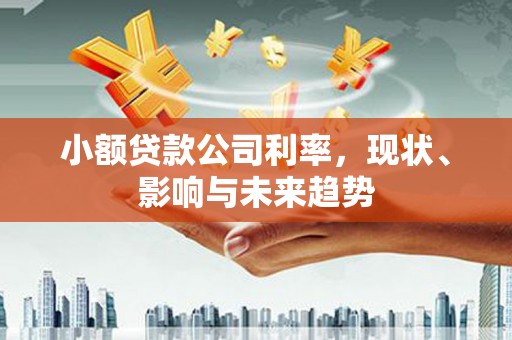 巴青小额贷款公司利率，现状、影响与未来趋势