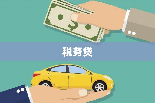 白碱滩税务贷