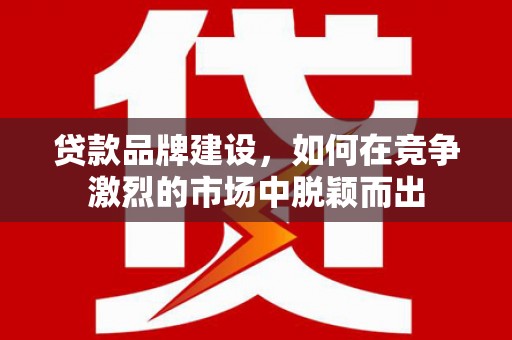 太和贷款品牌建设，如何在竞争激烈的市场中脱颖而出