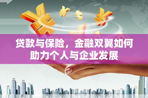 西昌贷款与保险，金融双翼如何助力个人与企业发展