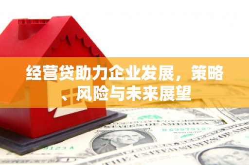 铜仁经营贷助力企业发展，策略、风险与未来展望