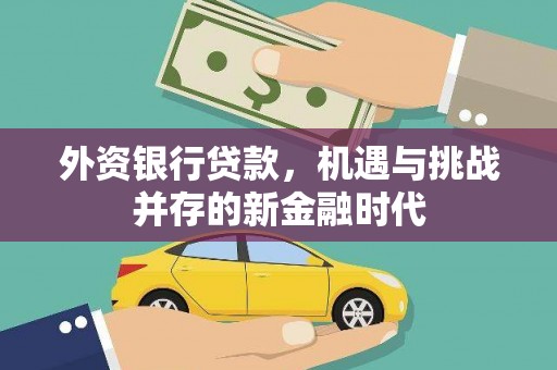 板桥外资银行贷款，机遇与挑战并存的新金融时代