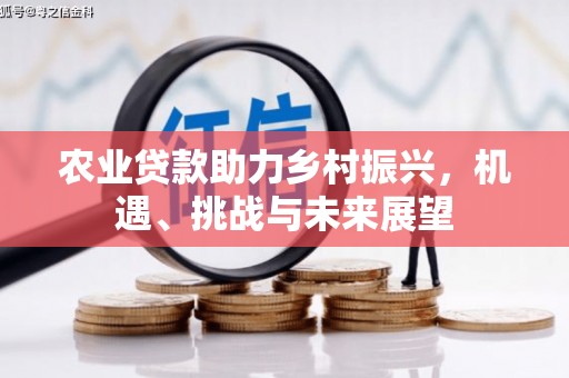 武义农业贷款助力乡村振兴，机遇、挑战与未来展望
