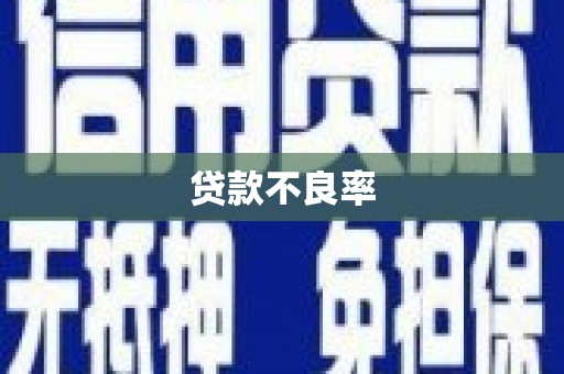 桐城贷款不良率