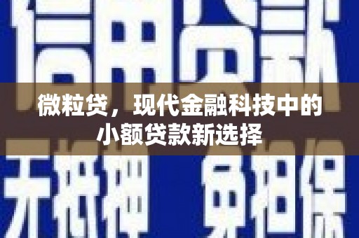 泗县微粒贷，现代金融科技中的小额贷款新选择