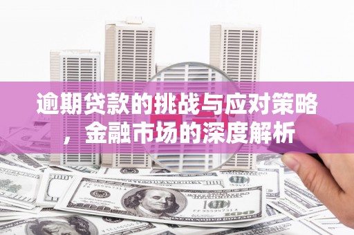 巧家逾期贷款的挑战与应对策略，金融市场的深度解析