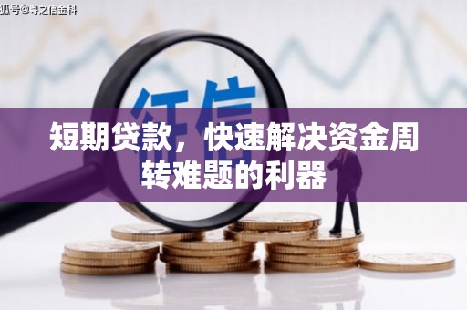 龙文短期贷款，快速解决资金周转难题的利器