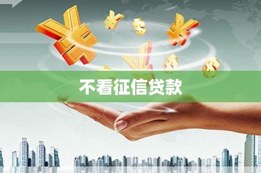 玉树不看征信贷款