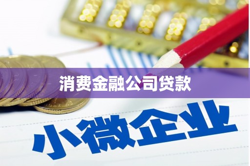 潍坊消费金融公司贷款