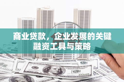 峨边商业贷款，企业发展的关键融资工具与策略