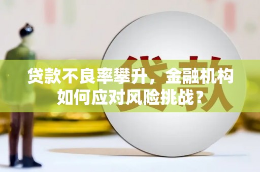 金峰贷款不良率攀升，金融机构如何应对风险挑战？