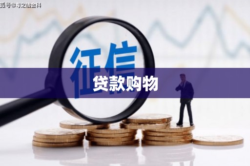 莱城贷款购物