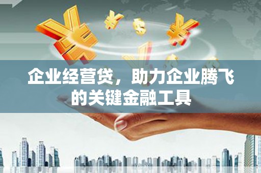六横企业经营贷，助力企业腾飞的关键金融工具