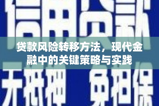 崇仁贷款风险转移方法，现代金融中的关键策略与实践