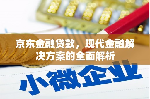 布拖京东金融贷款，现代金融解决方案的全面解析