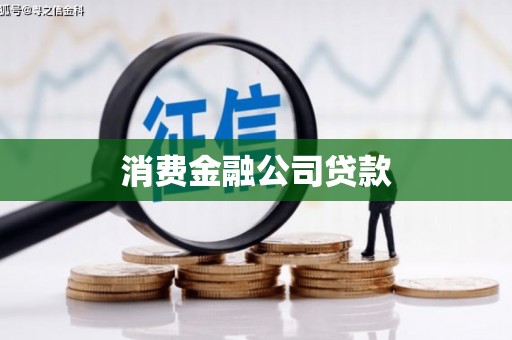 夏邑消费金融公司贷款