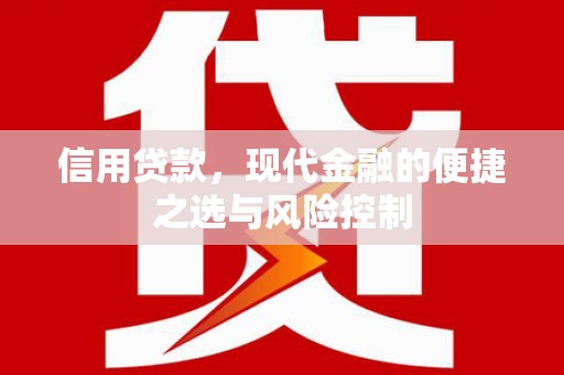 宁晋信用贷款，现代金融的便捷之选与风险控制