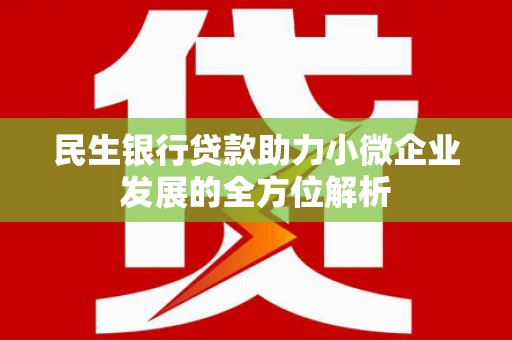 嘉黎民生银行贷款助力小微企业发展的全方位解析
