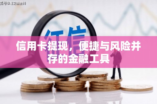 新泰信用卡提现，便捷与风险并存的金融工具