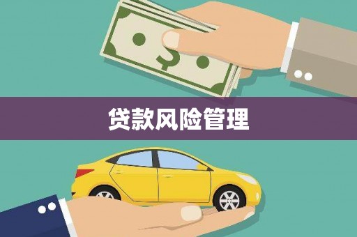 涵江贷款风险管理