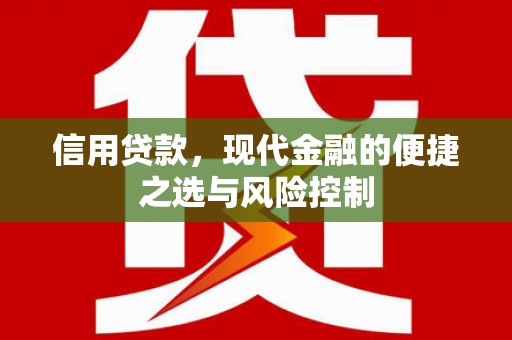 八宿信用贷款，现代金融的便捷之选与风险控制