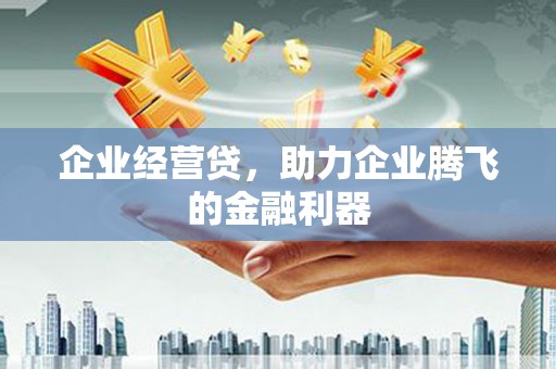 埌东企业经营贷，助力企业腾飞的金融利器