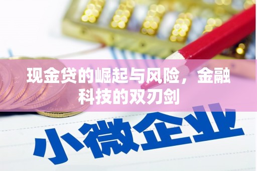 乌伊岭现金贷的崛起与风险，金融科技的双刃剑