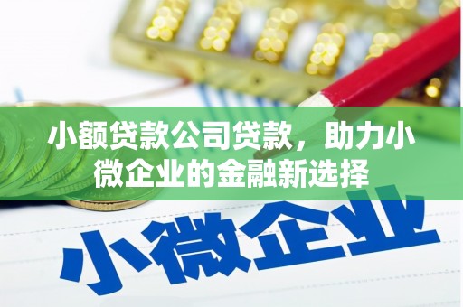 台西小额贷款公司贷款，助力小微企业的金融新选择