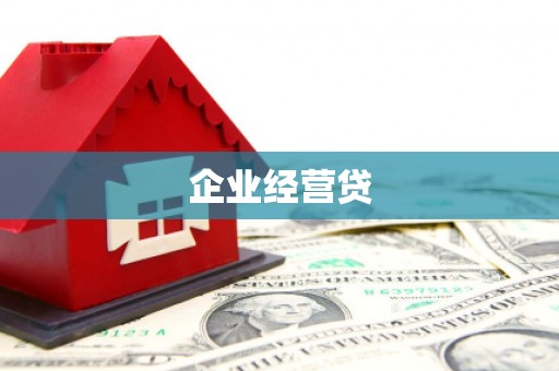 扶绥企业经营贷