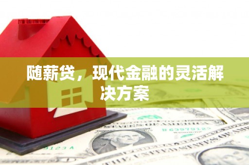 蚌埠随薪贷，现代金融的灵活解决方案