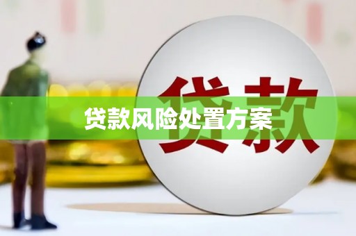 张掖贷款风险处置方案