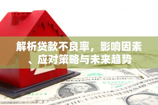 沙湾解析贷款不良率，影响因素、应对策略与未来趋势