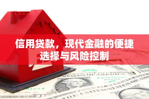 静宁信用贷款，现代金融的便捷选择与风险控制