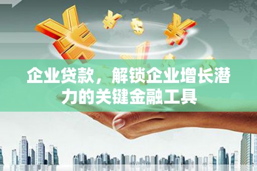 云龙企业贷款，解锁企业增长潜力的关键金融工具