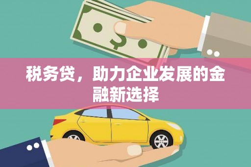 剑阁税务贷，助力企业发展的金融新选择