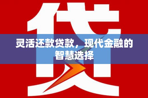 绿园灵活还款贷款，现代金融的智慧选择