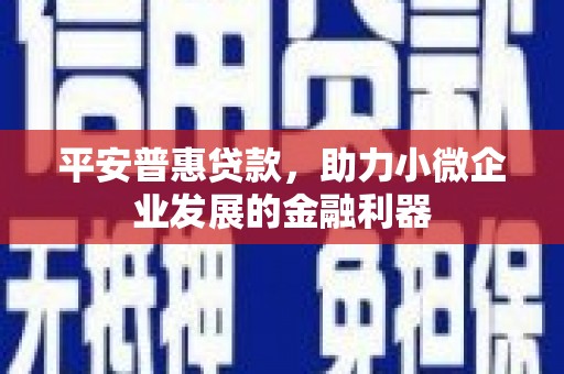 嘉禾平安普惠贷款，助力小微企业发展的金融利器