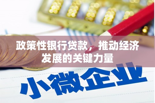 宝山政策性银行贷款，推动经济发展的关键力量